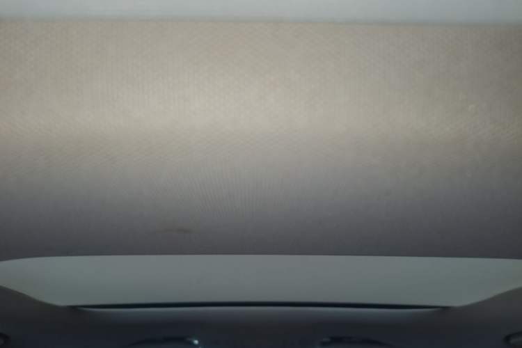 Used Mercedes-Benz E-Class 2020 E 300 L Sport Luxury Edition Headliner
