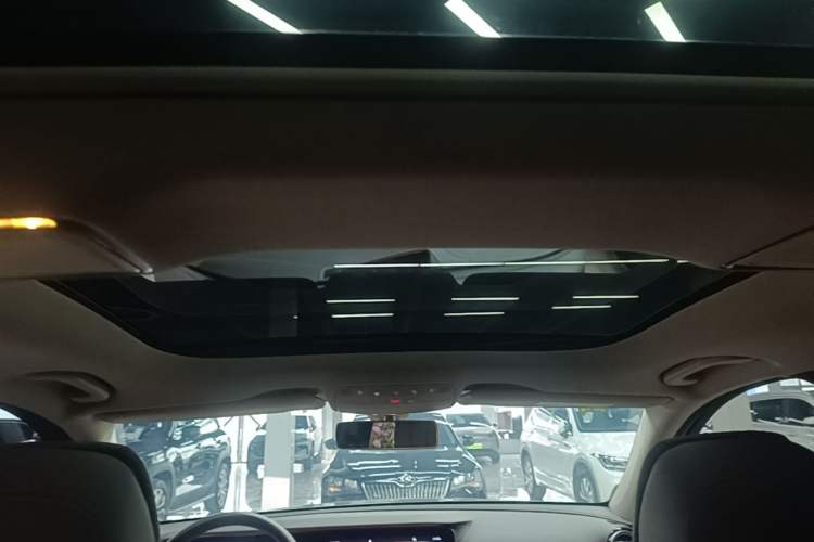 Used Mercedes-Benz E-Class 2020 E 300 L Luxury Model Headliner