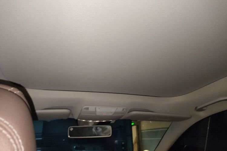 Used Mercedes-Benz E-Class 2020 E 300 L Luxury Model Headliner