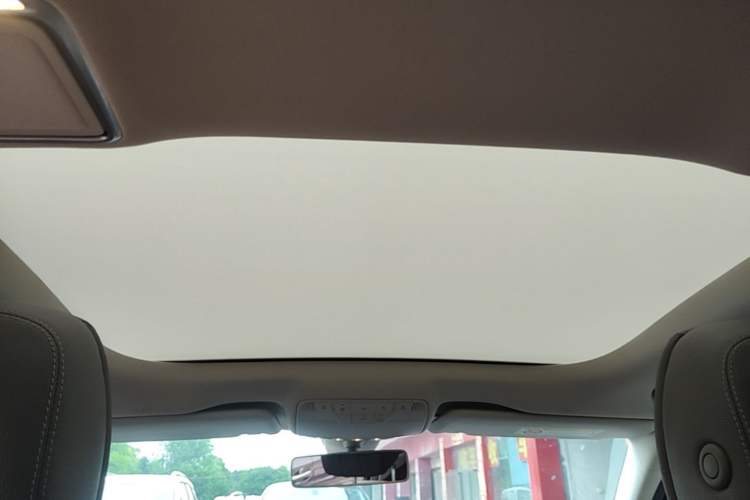 Used Mercedes-Benz E-Class 2020 E 300 L Luxury Model Headliner