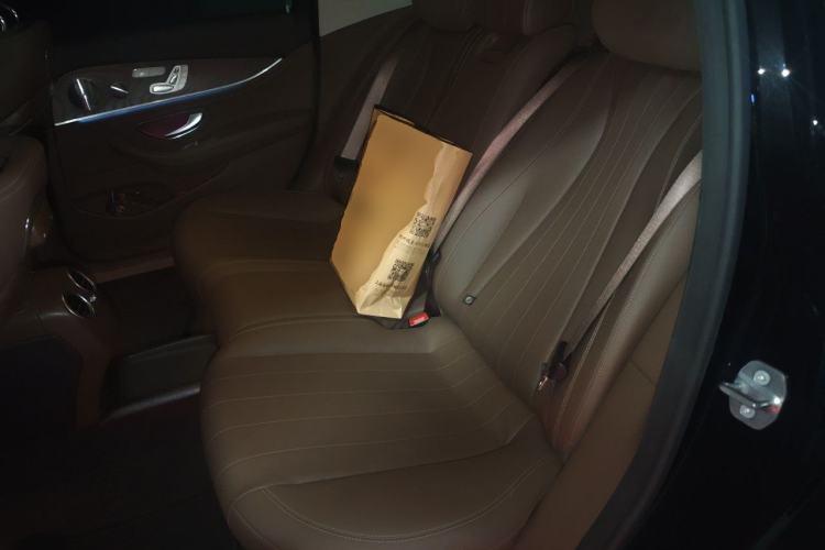 Used Mercedes-Benz E-Class 2020 E 300 L Luxury Model Left Rear Seat