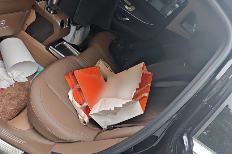Used Mercedes-Benz E-Class 2020 E 300 L Luxury Model Left Rear Seat