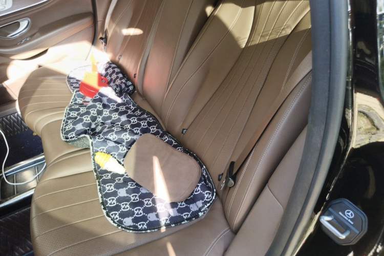 Used Mercedes-Benz E-Class 2020 E 300 L Luxury Model Left Rear Seat