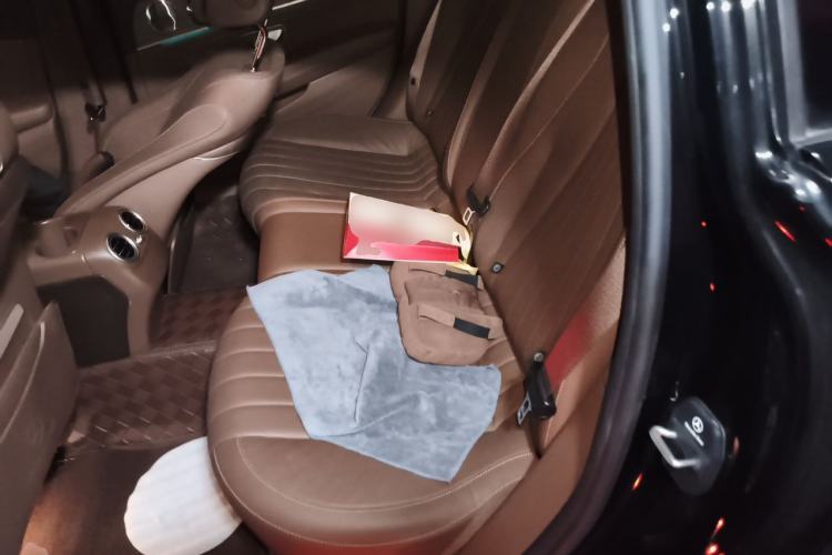 Used Mercedes-Benz E-Class 2020 E 300 L Luxury Model Left Rear Seat