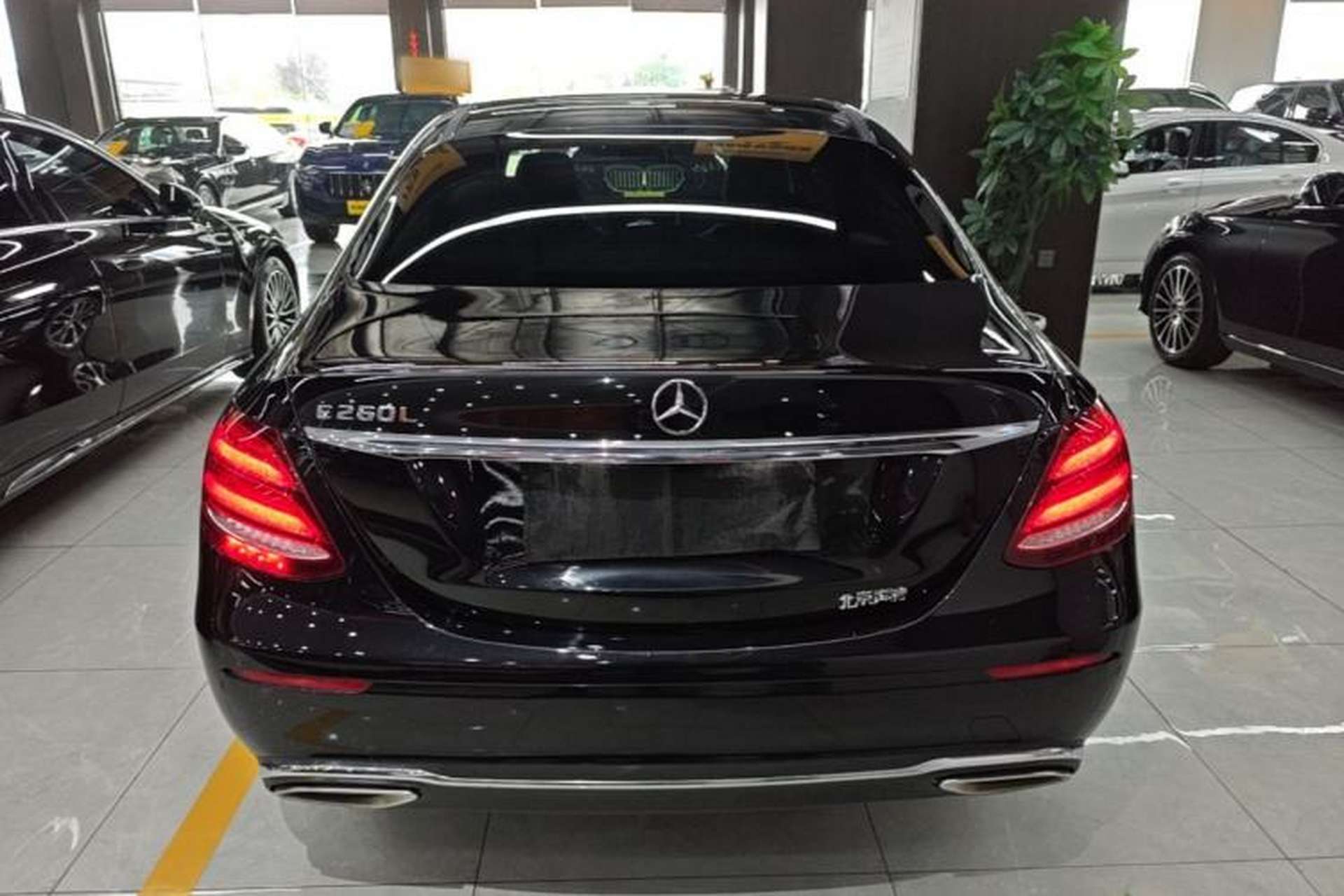 Used Mercedes-Benz E-Class 2020 E 260 L Rear