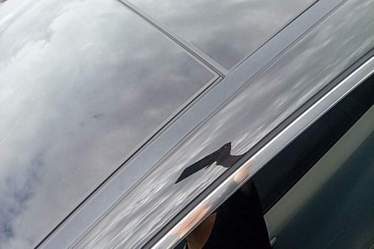 Used Mercedes-Benz E-Class 2020 E 300 L Luxury Model Roof