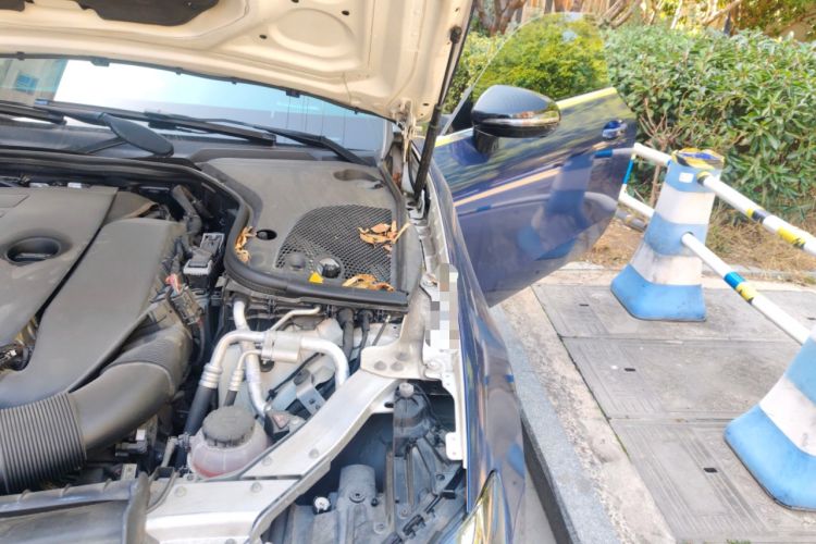 Used Mercedes-Benz E-Class 2020 E 260 Coupe Engine Bay Left