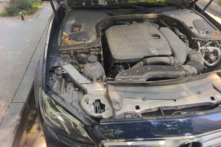 Used Mercedes-Benz E-Class 2020 E 300 L Sporty and Stylish Model Engine Bay Right