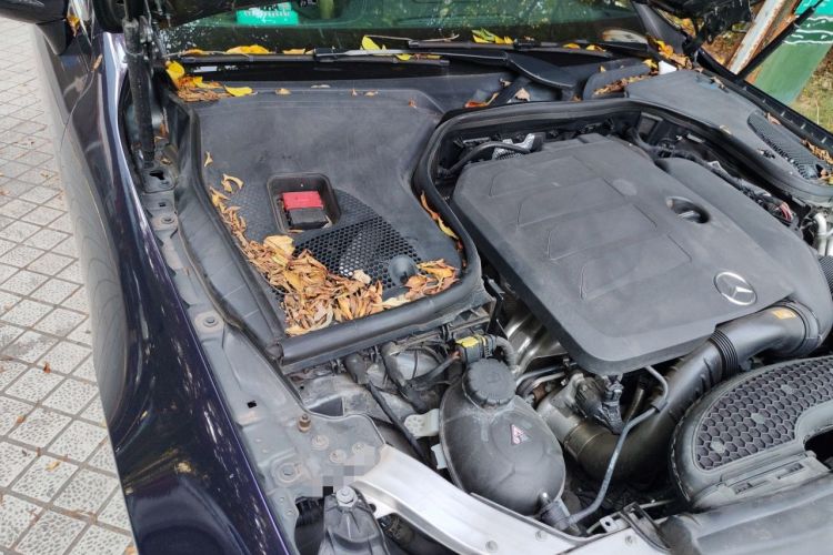Used Mercedes-Benz E-Class 2020 E 260 Coupe Engine Bay Right