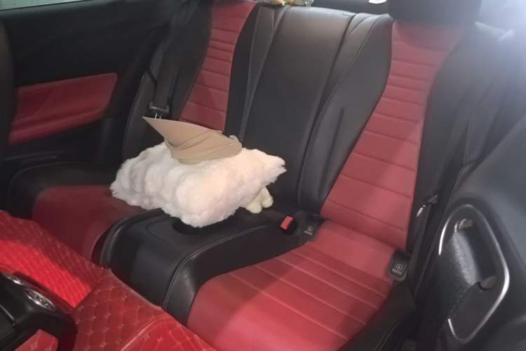 Used Mercedes-Benz E-Class 2020 E 260 Coupe Left Rear Seat