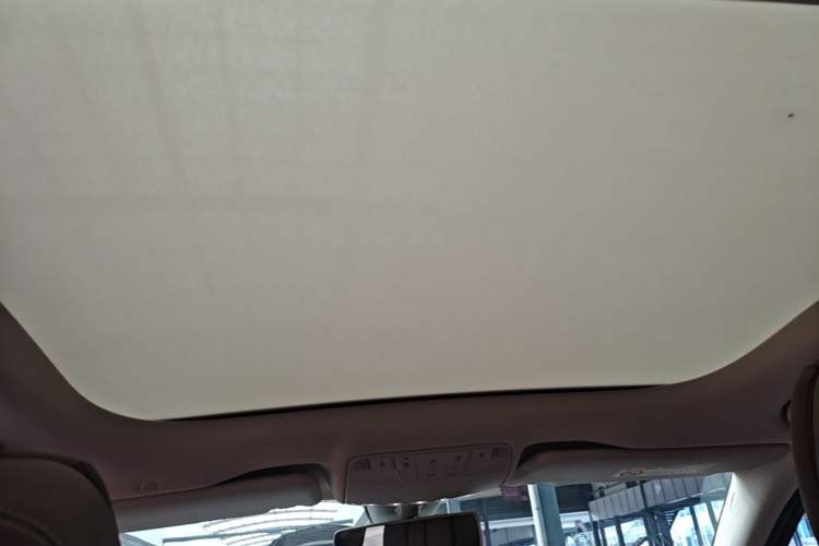 Used Mercedes-Benz E-Class 2020 E 300 L Luxury Model Headliner