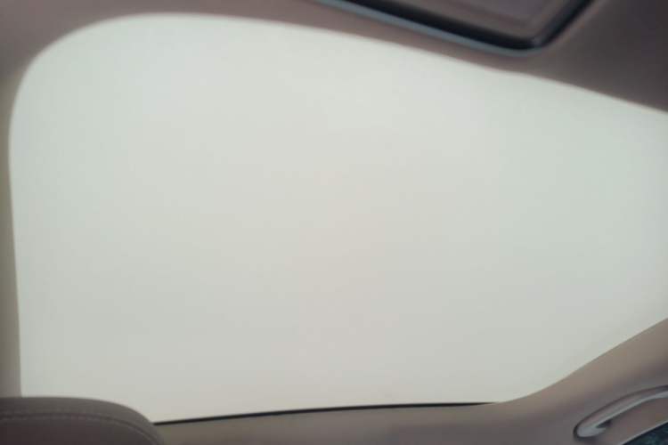 Used Mercedes-Benz E-Class 2020 E 300 L Luxury Model Headliner