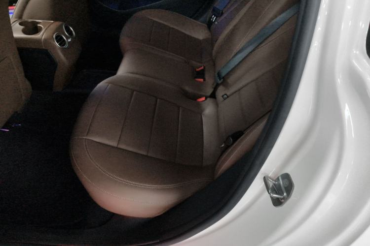 Used Mercedes-Benz E-Class 2020 E 300 L Sport Luxury Edition Left Rear Seat