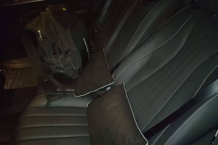 Used Mercedes-Benz E-Class 2020 E 300 L Sport Luxury Edition Left Rear Seat