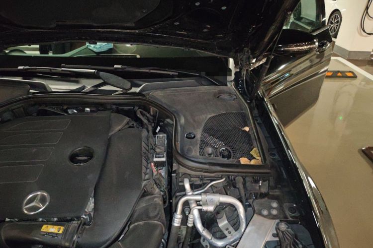 Used Mercedes-Benz E-Class 2021 Restyled E 300 L Sporty and Stylish Edition Engine Bay Left