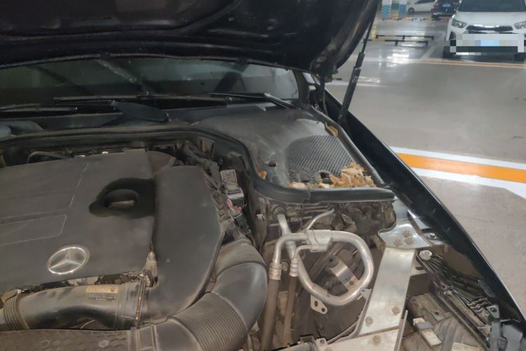 Used Mercedes-Benz E-Class 2021 E 300 L Premium Edition Engine Bay Left