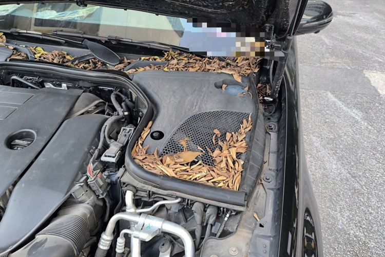 Used Mercedes-Benz E-Class 2021 Facelift E 300 L Stylish Edition Engine Bay Left