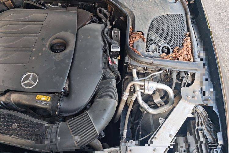 Used Mercedes-Benz E-Class 2021 E 300 L Luxury Model Engine Bay Left