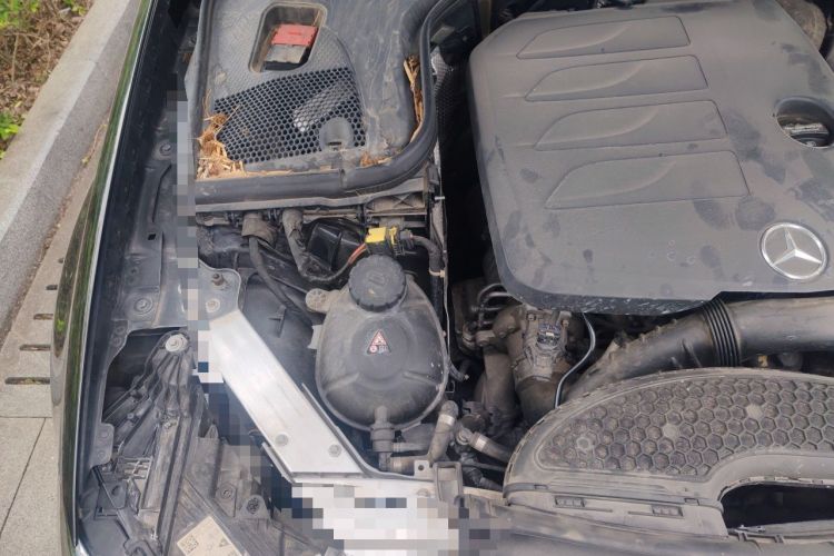 Used Mercedes-Benz E-Class 2021 E 300 L Stylish Model Engine Bay Right