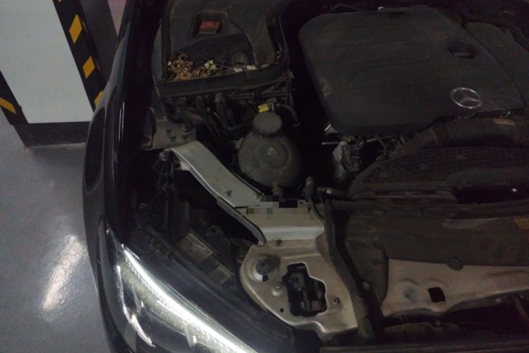 Used Mercedes-Benz E-Class 2021 E 300 L Luxury Model Engine Bay Right