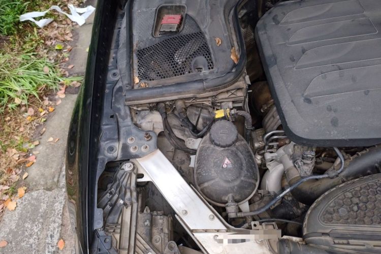 Used Mercedes-Benz E-Class 2021 E 260 L Sport Edition Engine Bay Right