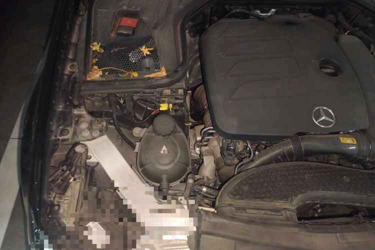 Used Mercedes-Benz E-Class 2021 E 300 L Sport Luxury Edition Engine Bay Right