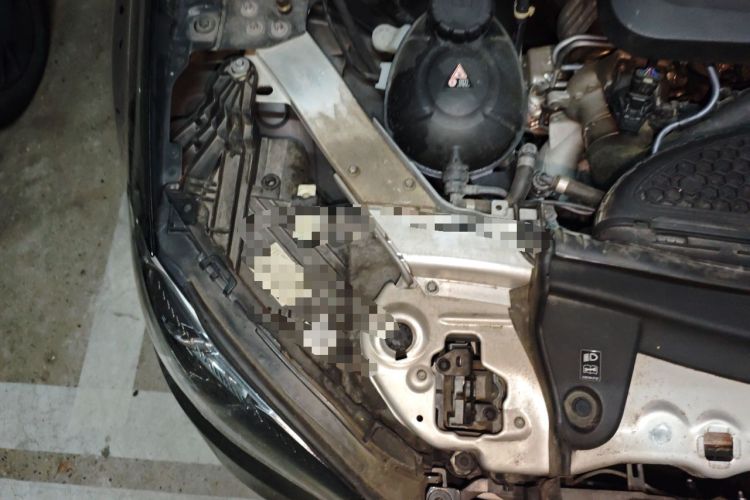 Used Mercedes-Benz E-Class 2021 E 300 L Premium Edition Engine Bay Right