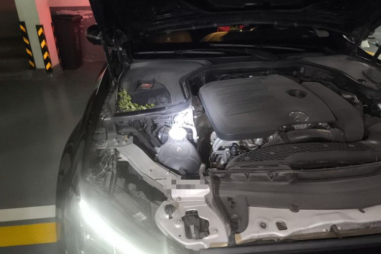 Used Mercedes-Benz E-Class 2021 E 300 L Luxury Model Engine Bay Right