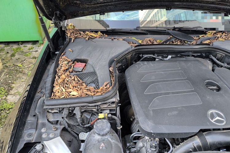 Used Mercedes-Benz E-Class 2021 Facelift E 300 L Stylish Edition Engine Bay Right