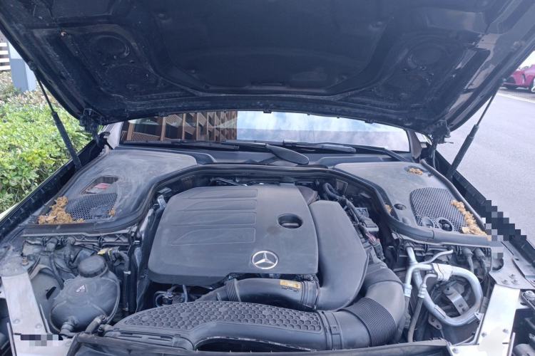 Used Mercedes-Benz E-Class 2021 Facelift E 260 L Engine Bay