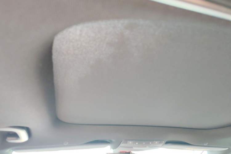 Used Mercedes-Benz E-Class 2021 Restyled E 300 L Luxury Edition Headliner
