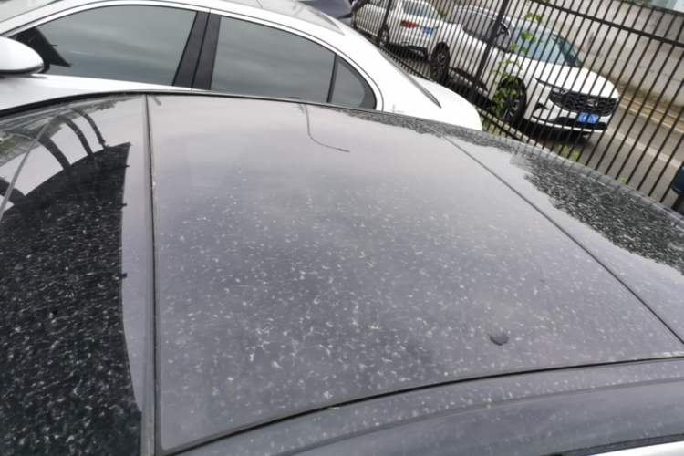 Used Mercedes-Benz E-Class 2021 E 300 L Sport Luxury Edition Roof
