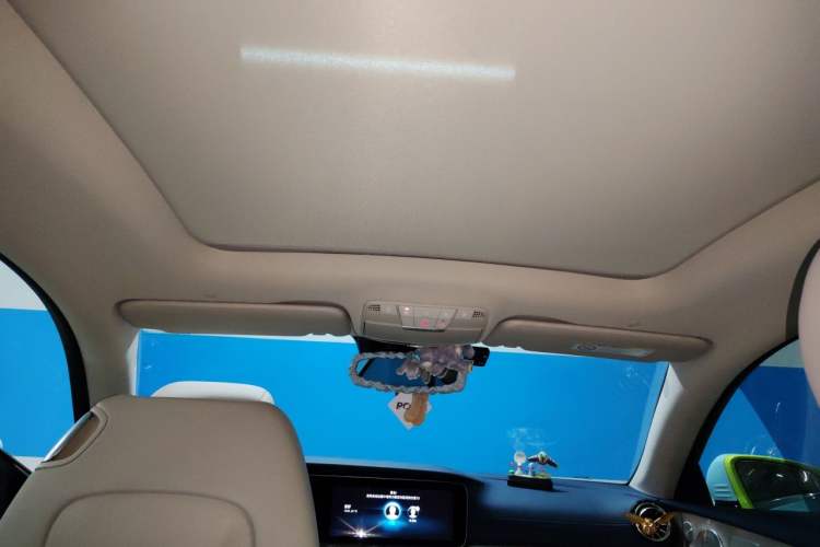 Used Mercedes-Benz E-Class 2021 E 300 Coupe Headliner
