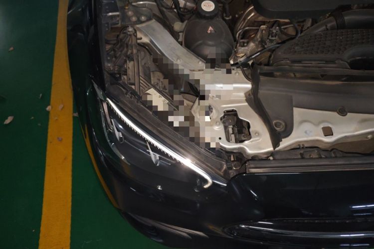 Used Mercedes-Benz E-Class 2021 E 260 Convertible Coupe Engine Bay Right
