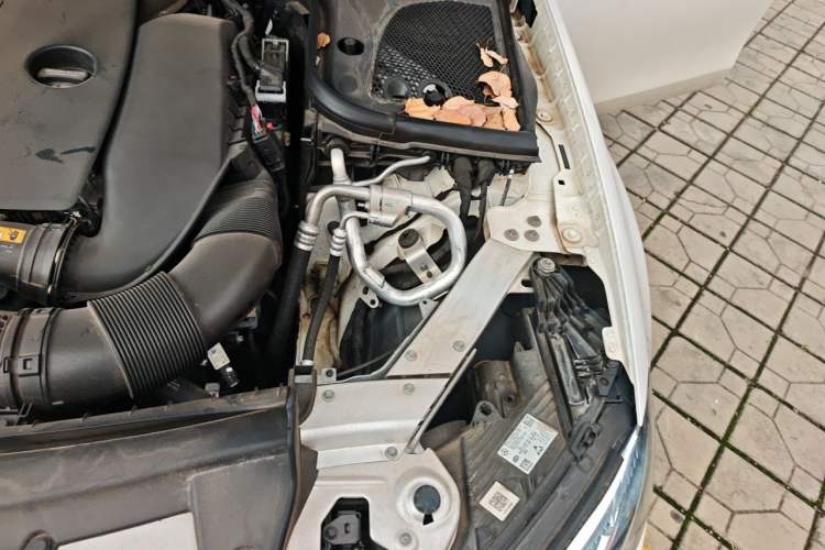 Used Mercedes-Benz E-Class 2021 E 300 L Sport Luxury Edition Engine Bay Left
