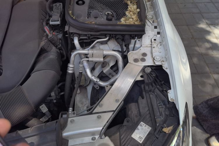 Used Mercedes-Benz E-Class 2021 Updated E 260 Fashion Sport Edition Engine Bay Left