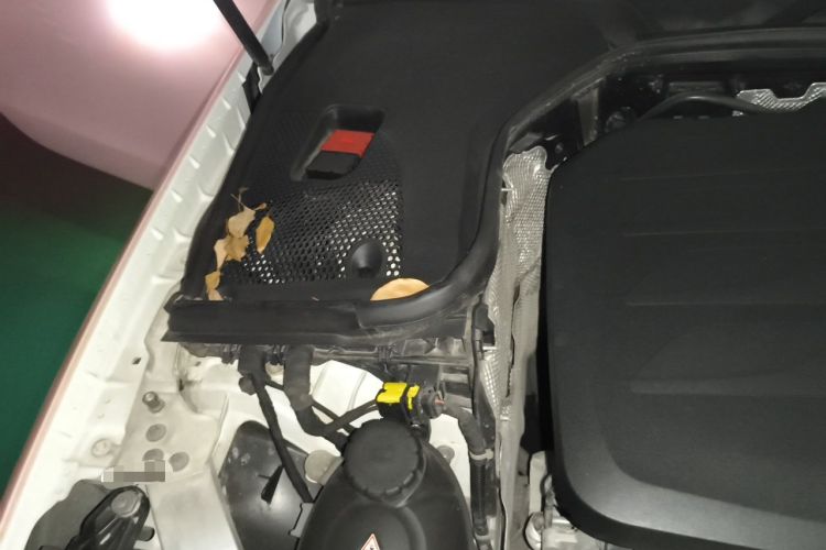 Used Mercedes-Benz E-Class 2021 E 260 Coupe Engine Bay Right