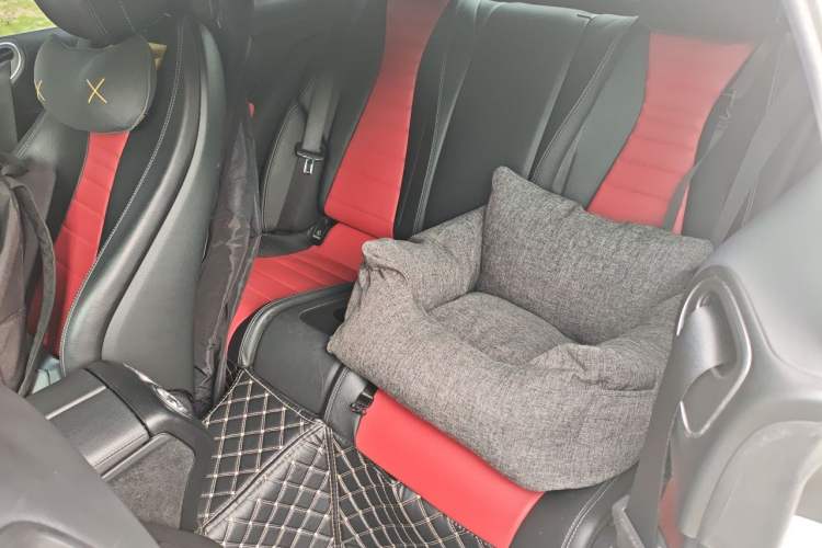 Used Mercedes-Benz E-Class 2021 E 260 Coupe Left Rear Seat