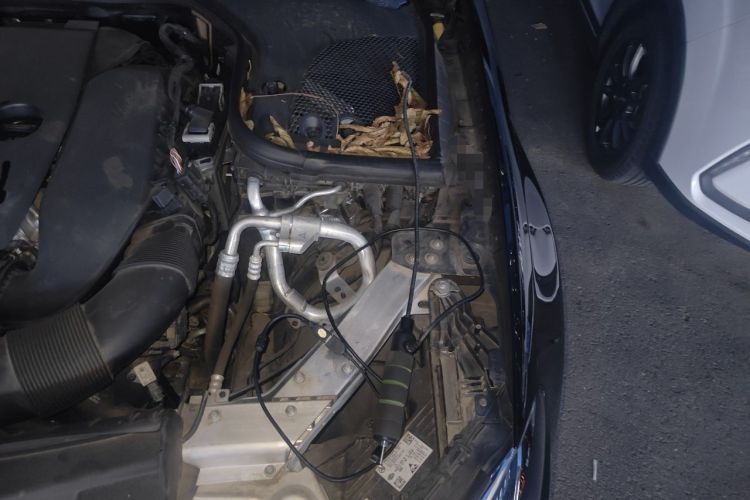 Used Mercedes-Benz E-Class 2022 Revised Version E 300 L Luxury Edition Engine Bay Left