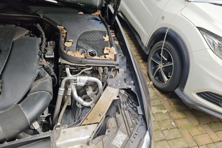 Used Mercedes-Benz E-Class 2022 Revised Version E 300 L Luxury Edition Engine Bay Left