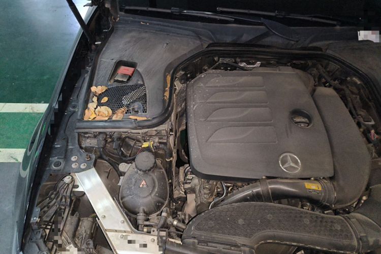 Used Mercedes-Benz E-Class 2022 E 300 L Stylish Model Engine Bay Right
