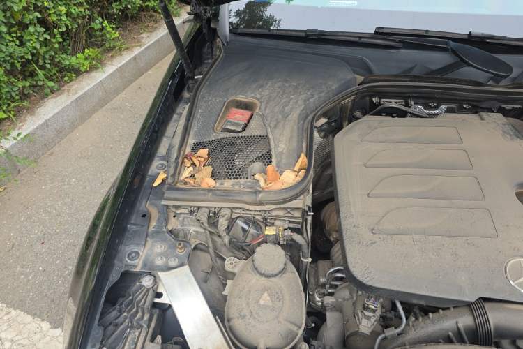 Used Mercedes-Benz E-Class 2022 E 300 L Luxury Model Engine Bay Right