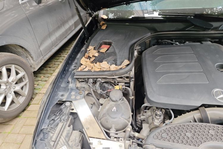 Used Mercedes-Benz E-Class 2022 Revised Version E 300 L Luxury Edition Engine Bay Right