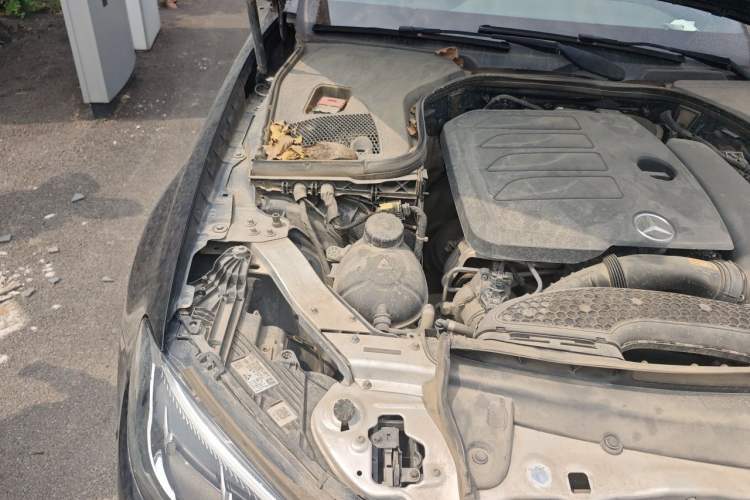 Used Mercedes-Benz E-Class 2022 Restyled E 260 L Sport Edition Engine Bay Right