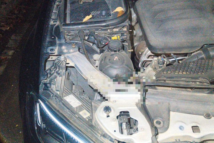 Used Mercedes-Benz E-Class 2022 Updated E 300 L Luxury Edition Engine Bay Right