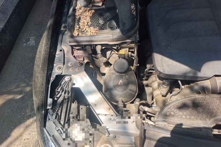 Used Mercedes-Benz E-Class 2022 Second Facelift E 300 L Luxury Edition Engine Bay Right