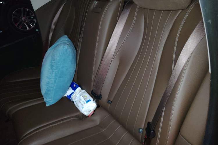 Used Mercedes-Benz E-Class 2022 E 300 L Luxury Model Left Rear Seat