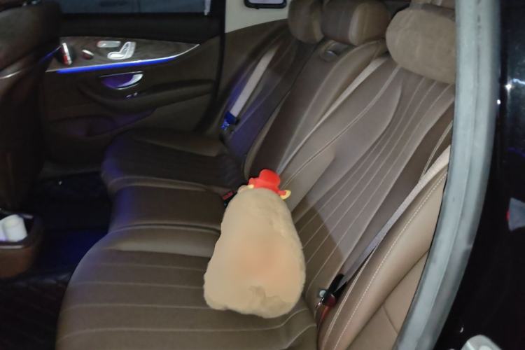 Used Mercedes-Benz E-Class 2022 Updated E 300 L Luxury Edition Left Rear Seat