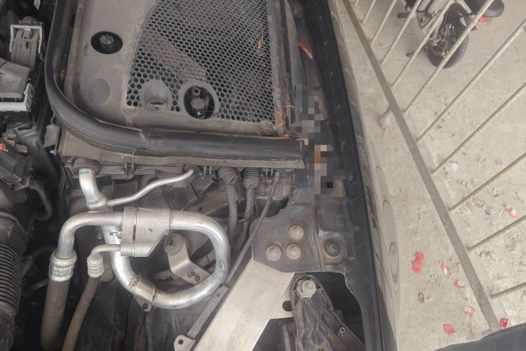 Used Mercedes-Benz E-Class 2023 E 300 L Sporty and Stylish Model Engine Bay Left