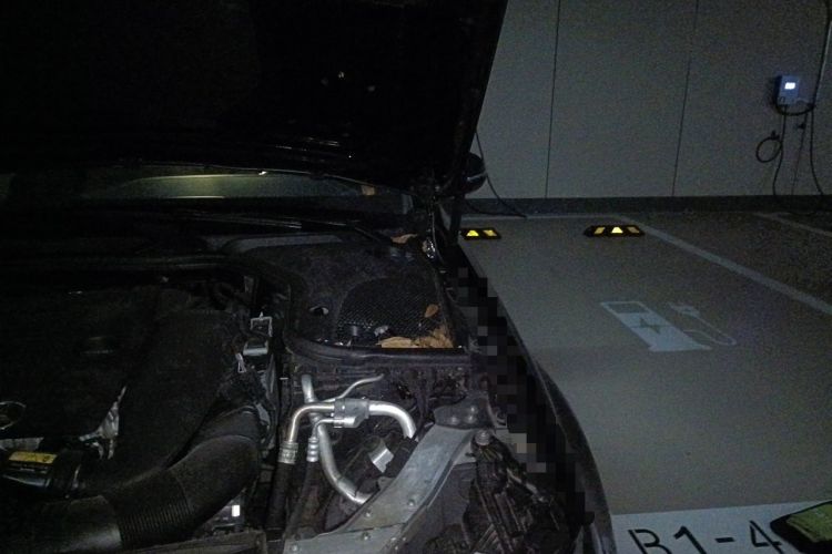 Used Mercedes-Benz E-Class 2023 E 260 L Sport Edition Engine Bay Left